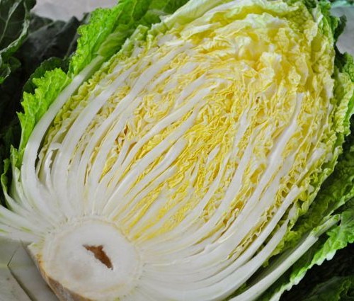 Korean napa cabbage cut in half for Kimjang