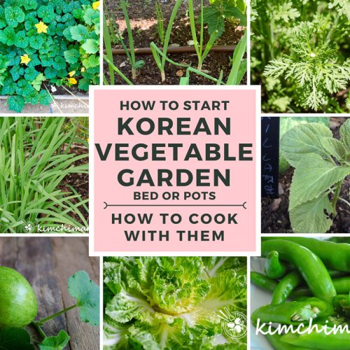 collage image of Korean vegetables